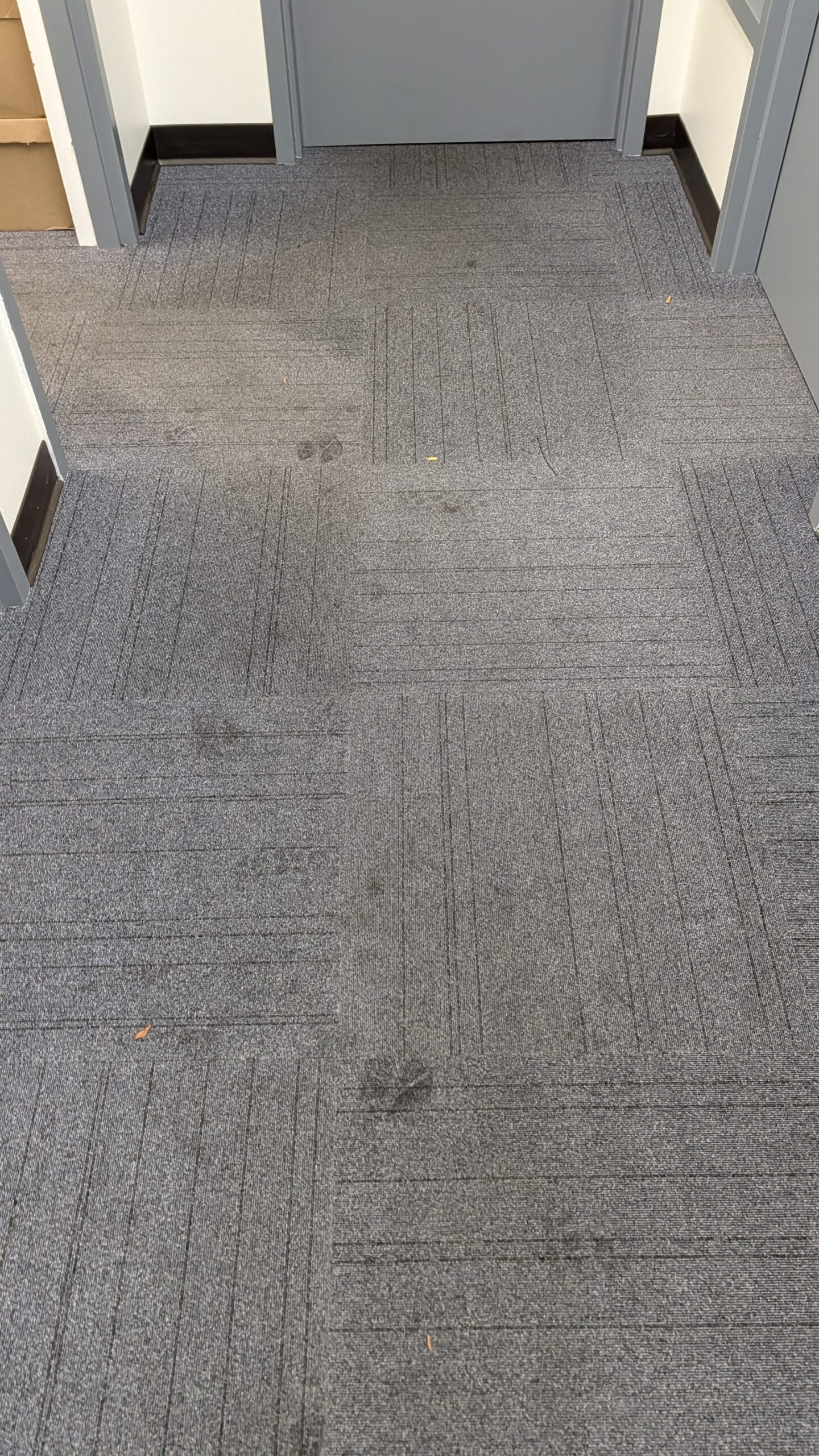 Office carpet after a post-construction and commercial clean
